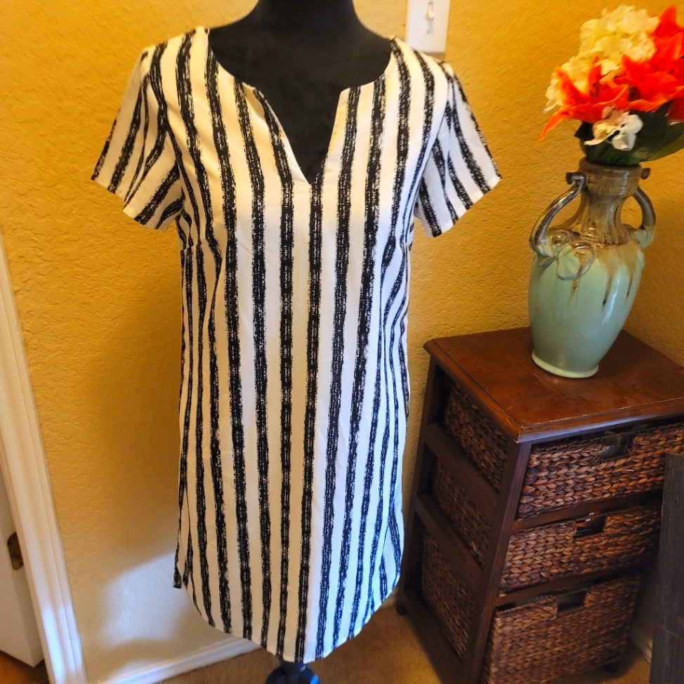 Japna Black & White Slip On Dress